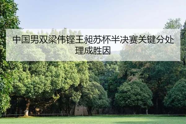 zhong-guo-nan-shuang-liang-wei-keng-wang-chang-su-bei-ban-jue-sai-guan-jian-fen-chu-li-cheng-sheng-yin-1-718.jpg